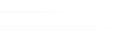 儚くも美しい天ぷらとワインのマリアージュ